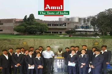 Image Gallery
