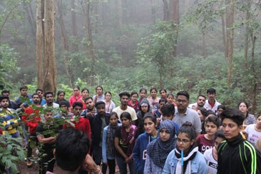 Image Gallery